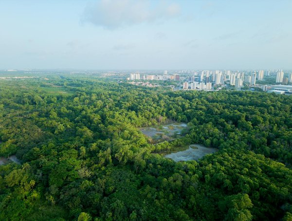 Top solutions de transport routier à nantes avec jolival