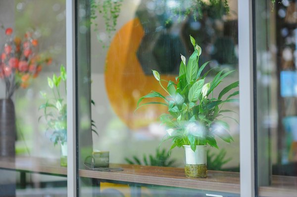 Guide complet pour exceller dans la gestion des données et information