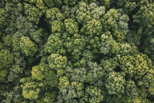 Quelles sont les avancées récentes dans la lutte contre le changement climatique ?